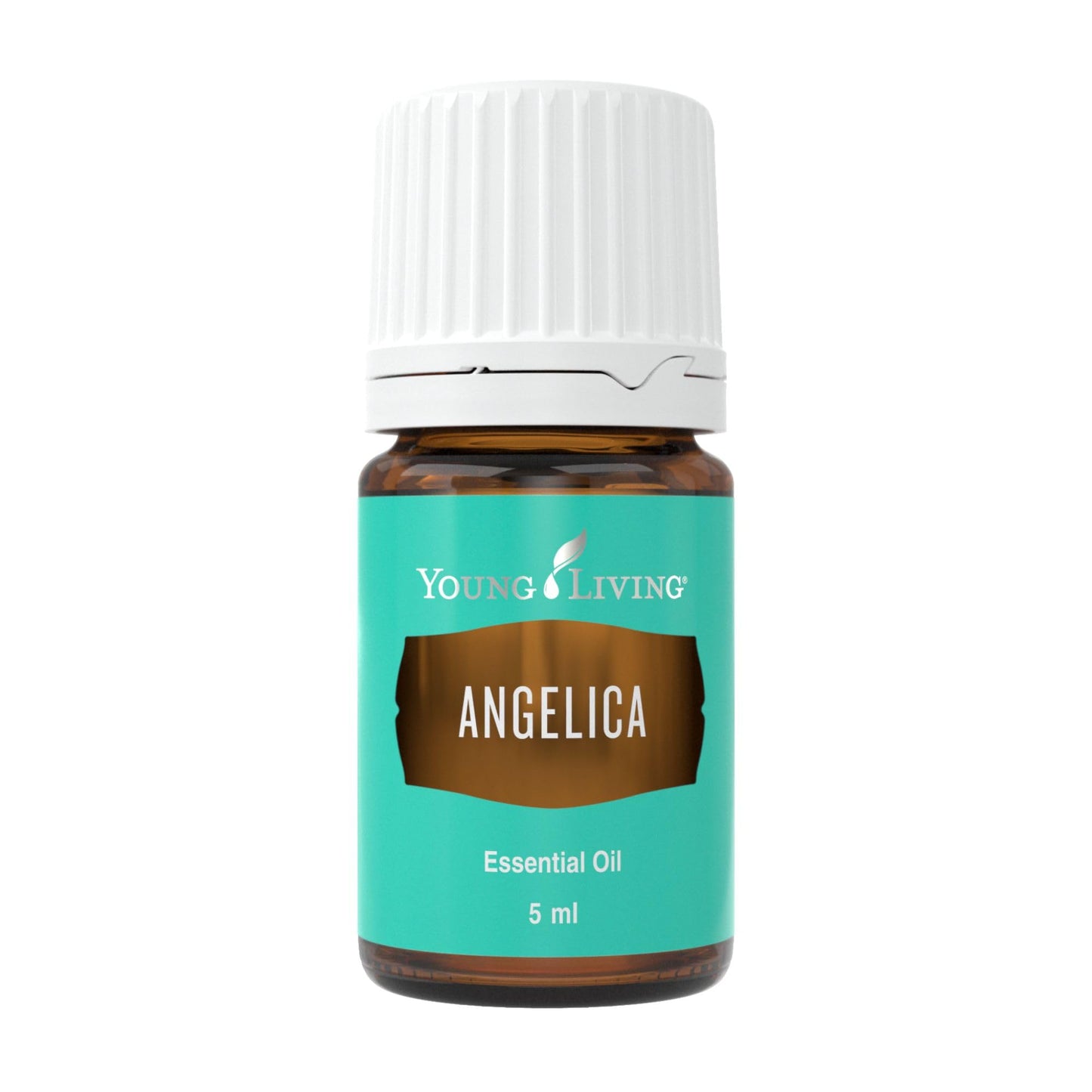 Young Living Angelica Premium Essential Oil – Calming Aromatic Diffuser Blend (5ml)