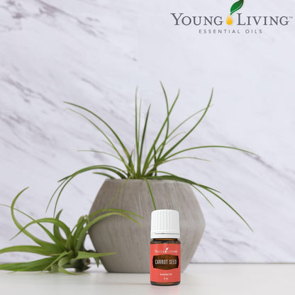 Young Living Carrot Seed Essential Oil 5 ml | Dry Skin Moisturizer, Beautifying & Skin Cleansing