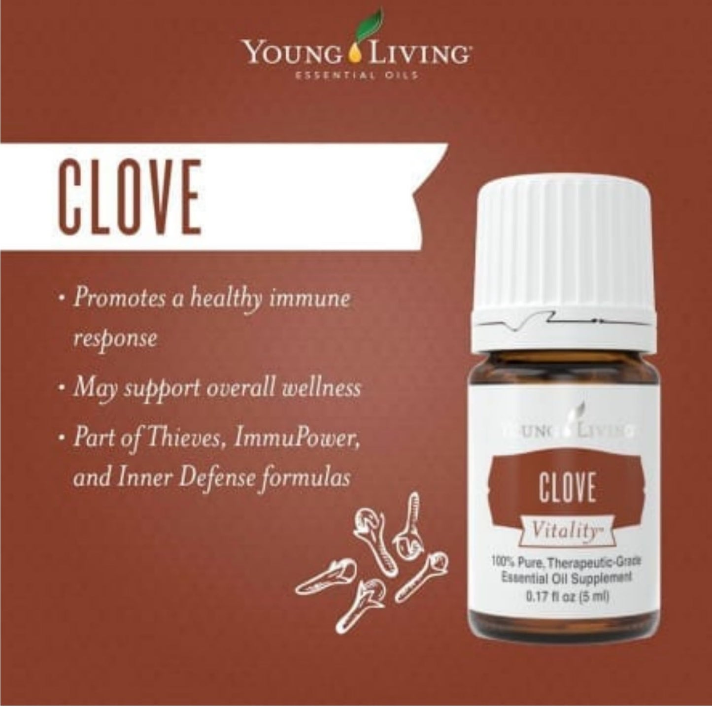 Young Living Clove Vitality 5 ml | Premium Essential Oil for Dietary Antioxidant & Immune Support | Spicy Flavor for Cooking, Baking & Teas