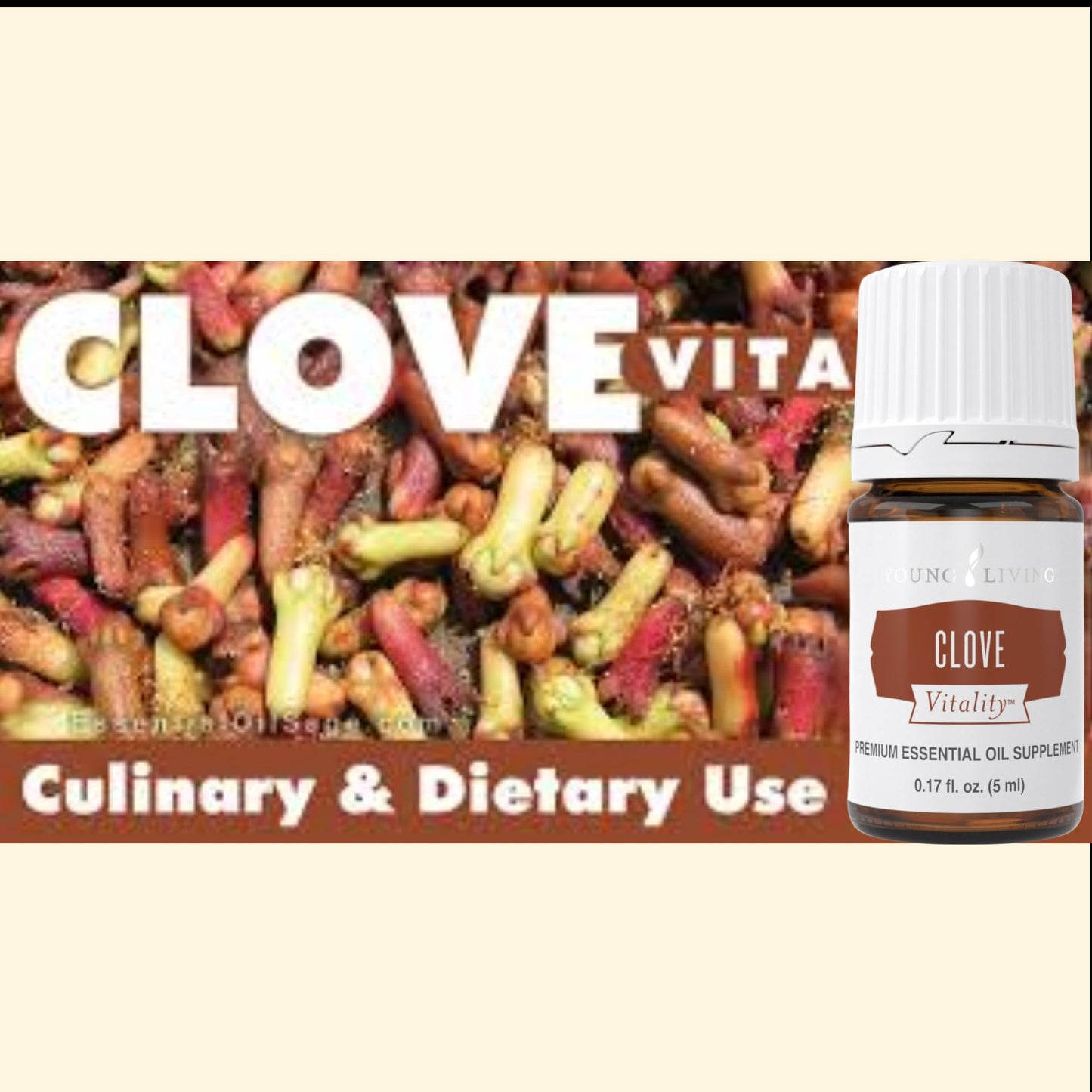 Young Living Clove Vitality 5 ml | Premium Essential Oil for Dietary Antioxidant & Immune Support | Spicy Flavor for Cooking, Baking & Teas