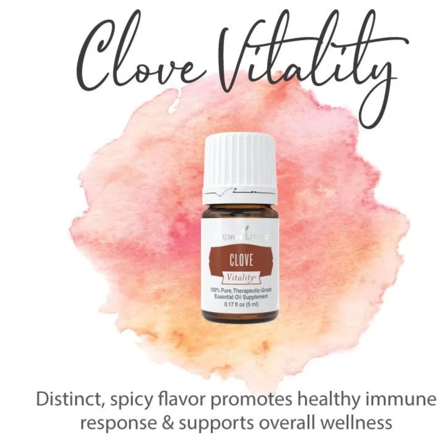 Young Living Clove Vitality 5 ml | Premium Essential Oil for Dietary Antioxidant & Immune Support | Spicy Flavor for Cooking, Baking & Teas