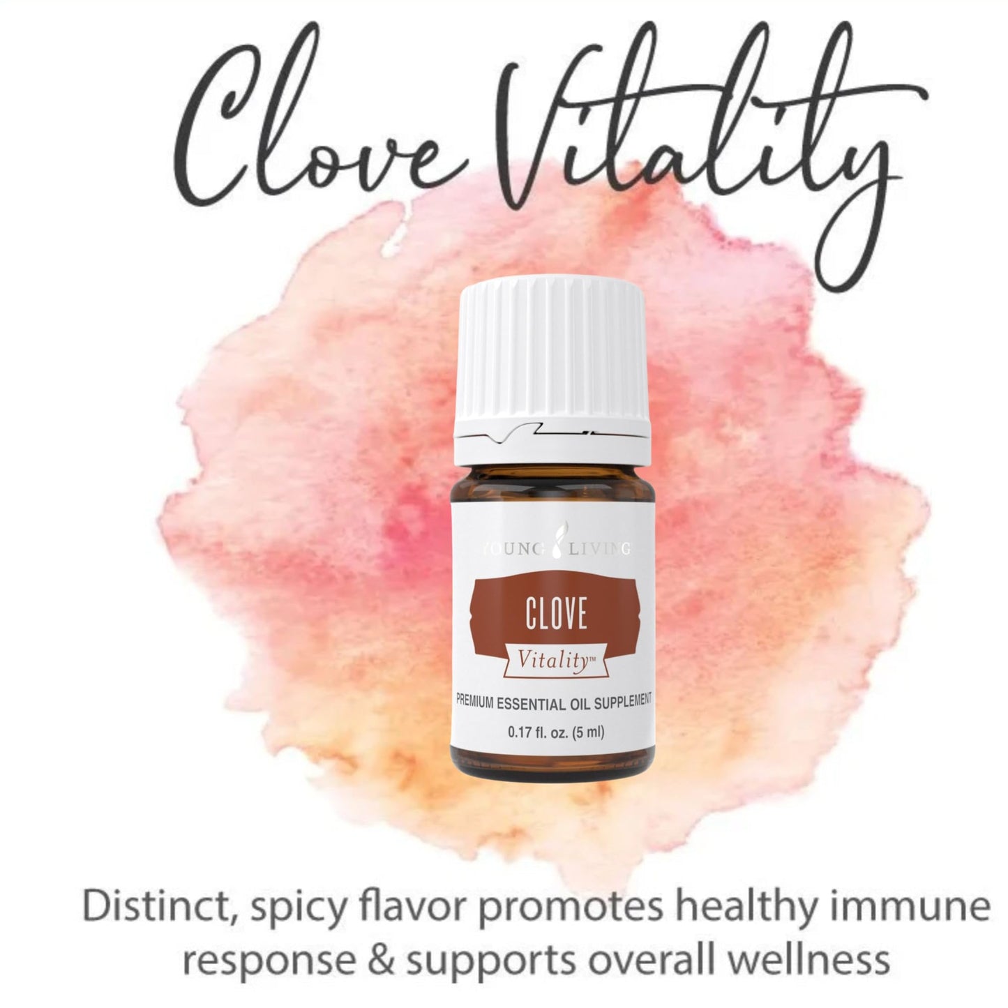 Clove Vitality 5ml by Young Living – Antioxidant Support & Culinary Essential Oil
