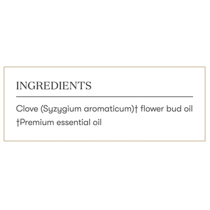 Clove Vitality 5ml by Young Living – Antioxidant Support & Culinary Essential Oil