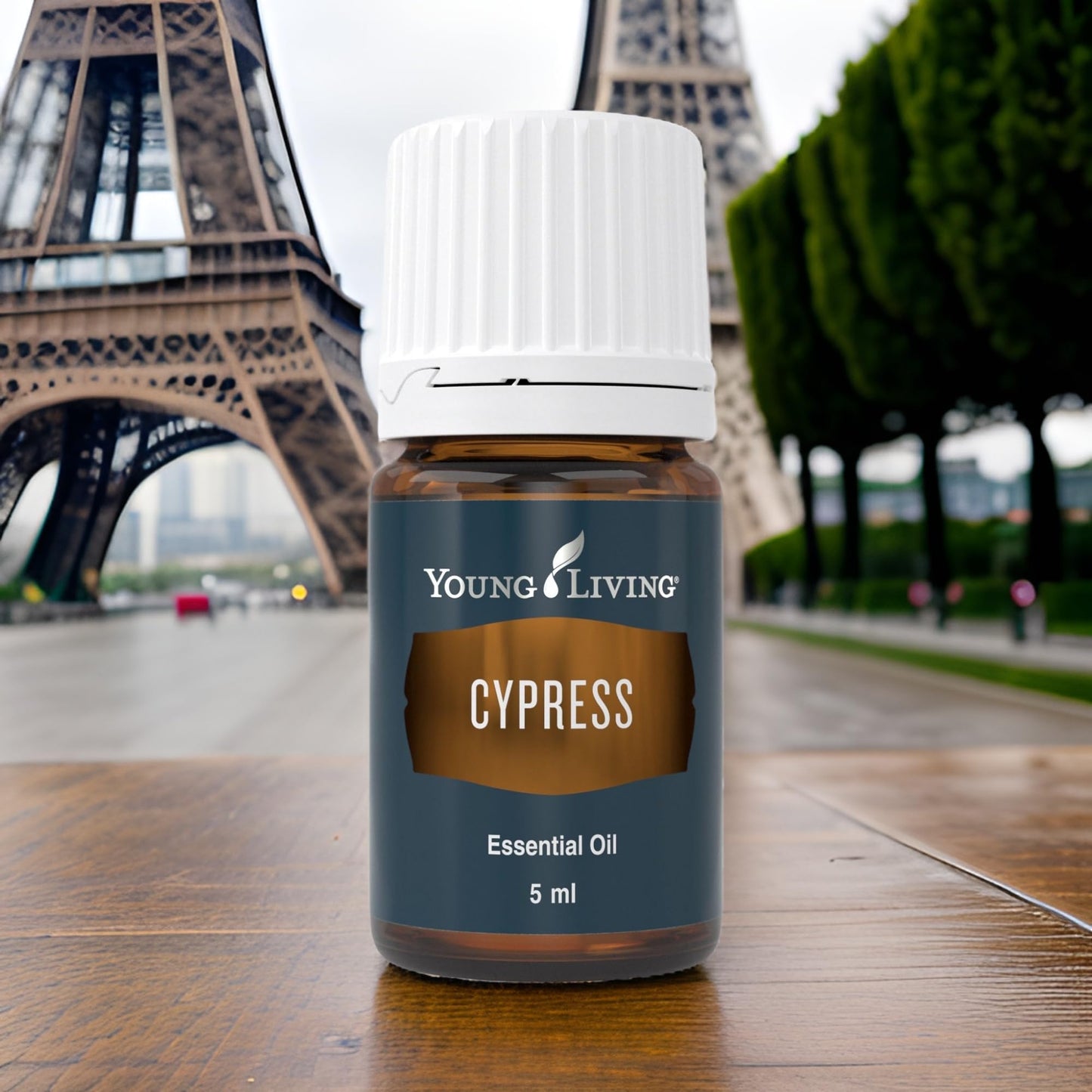 Young Living Cypress Essential Oil 5 ml | Hair Skin Scalp Support & Grounding Aromatherapy