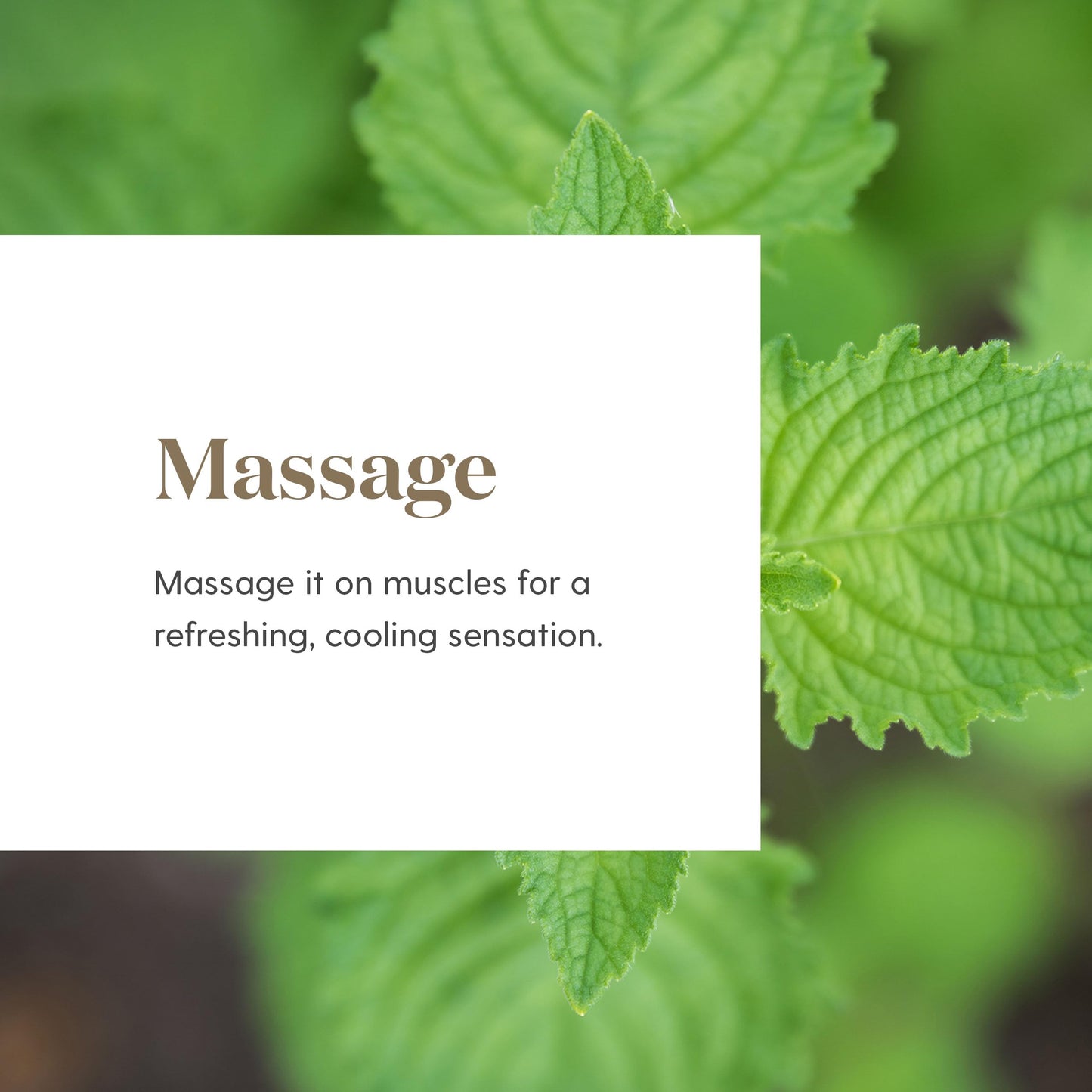 Young Living Deep Relief Roll-On – 10 ml Cooling Essential Oil for Muscles