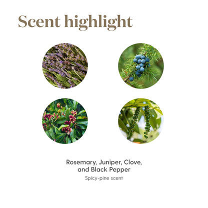 En-R-Gee Essential Oil 15ml by Young Living – Energize Your Focus