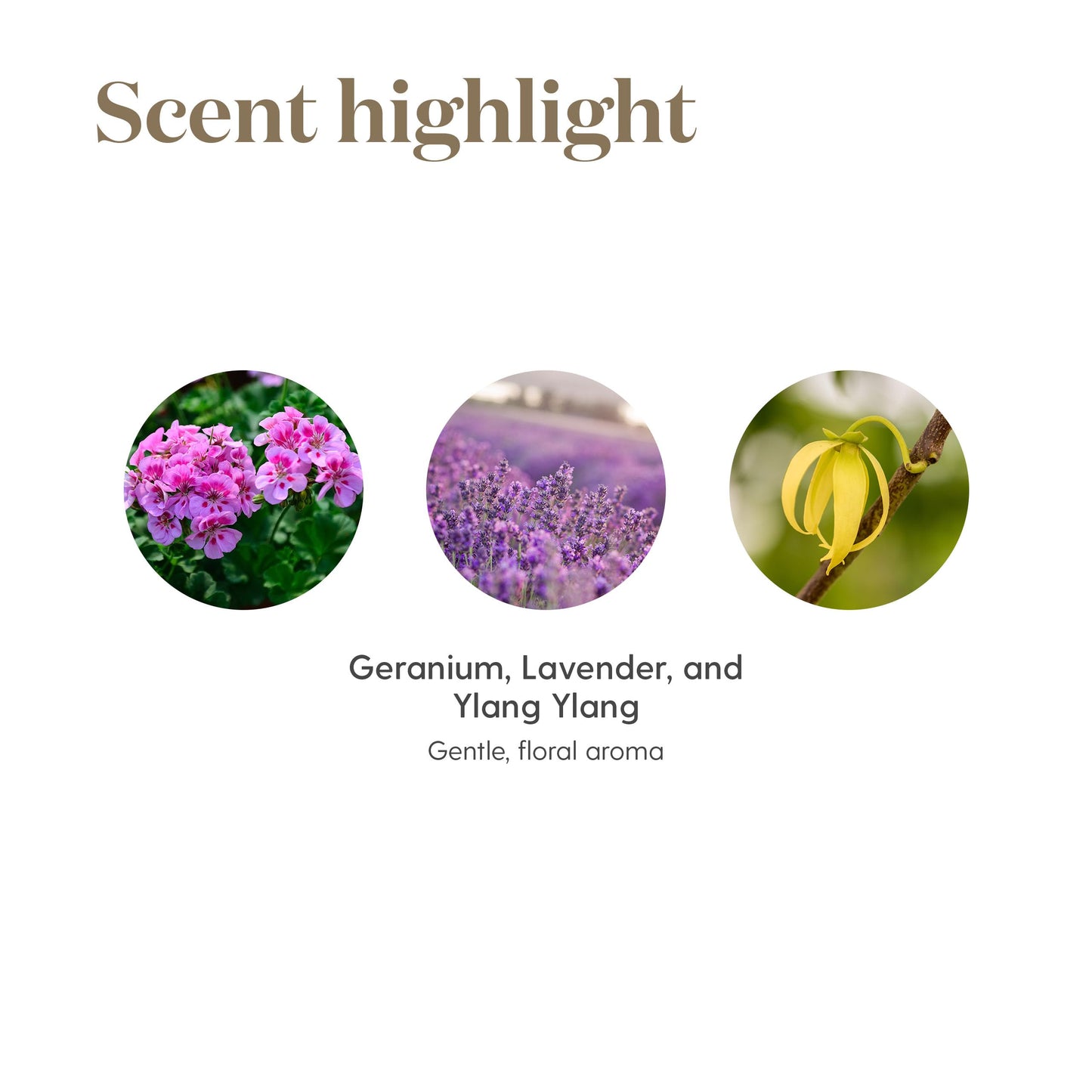 Young Living - Gentle Baby 15ml | Gentle Aroma for Babies | Soothing Skin | Relaxing & Moisturizing Aromatherapy Massage | Infant & Parenting Relaxation | Calming Scent