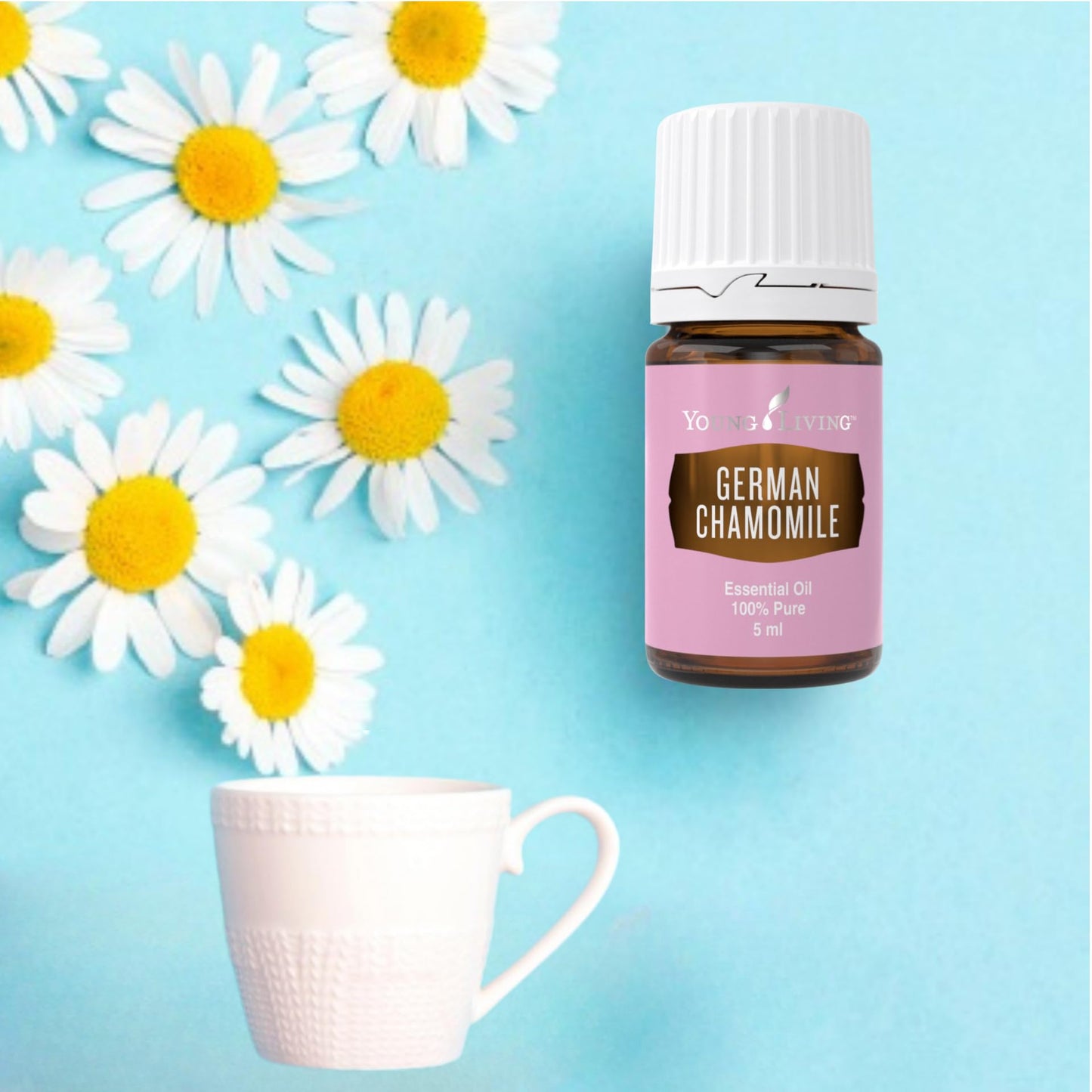 German Chamomile 5ml by Young Living – Calming Aroma, Skin Care & Meditation