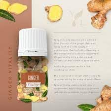 Young Living Ginger Vitality 5ml – Empowerment Aromatherapy & Culinary Essential Oil
