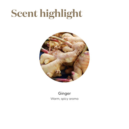 Young Living Ginger Vitality 5ml – Empowerment Aromatherapy & Culinary Essential Oil