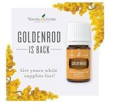 Goldenrod Essential Oil 5ml | Warm, Uplifting Aroma for Diffusing, Topical & DIY Blends | Young Living Seed to Seal