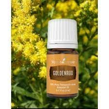 Goldenrod Essential Oil 5ml | Warm, Uplifting Aroma for Diffusing, Topical & DIY Blends | Young Living Seed to Seal