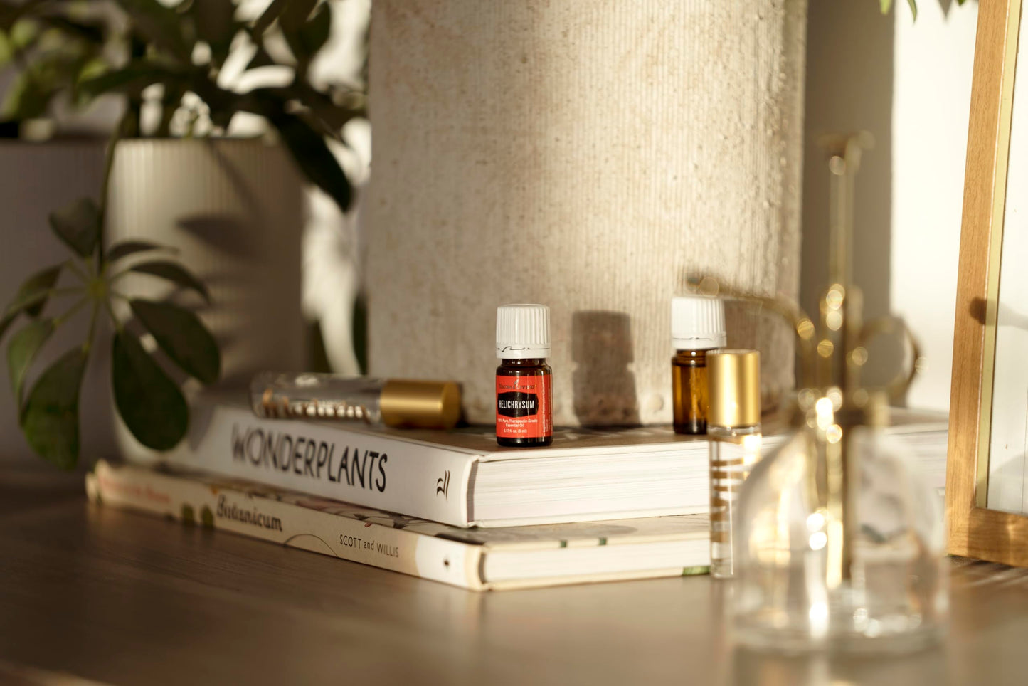 Young Living Helichrysum Essential Oil 5 ml | Pure Helichrysum Italicum