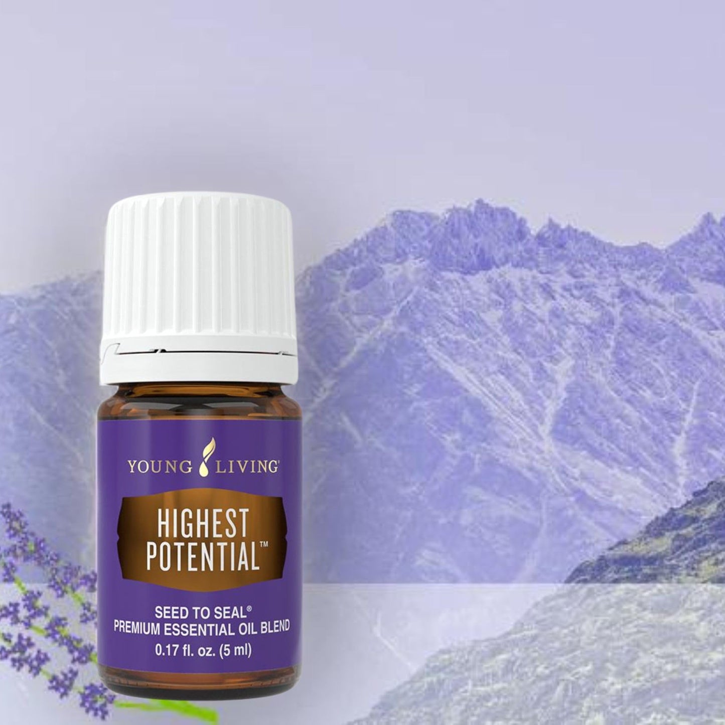 Highest Potential Essential Oil 5ml by Young Living Essential Oils | Uplifting Aromatic Blend