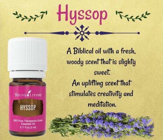 Young Living Hyssop Essential Oil 5ml – Creative Meditation & Peaceful Minty-Floral Aroma