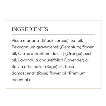 Envision Essential Oils Blend 5 ml by Young Living | Kosher Certified | Seed to Seal
