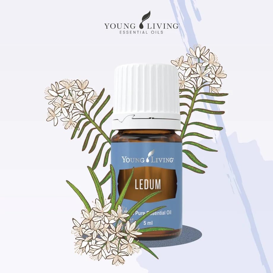 Young Living Ledum Premium Essential Oil 5ml – Meditation & Sacred Diffuser