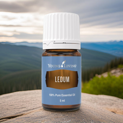 Young Living Ledum Premium Essential Oil 5ml – Meditation & Sacred Diffuser