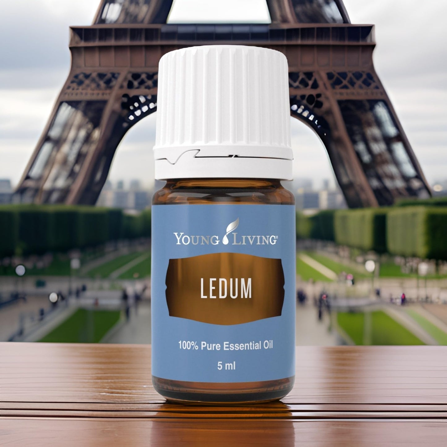 Young Living Ledum Premium Essential Oil 5ml – Meditation & Sacred Diffuser