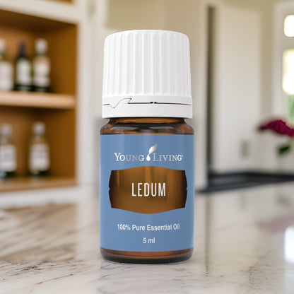 Young Living Ledum Premium Essential Oil 5ml – Meditation & Sacred Diffuser