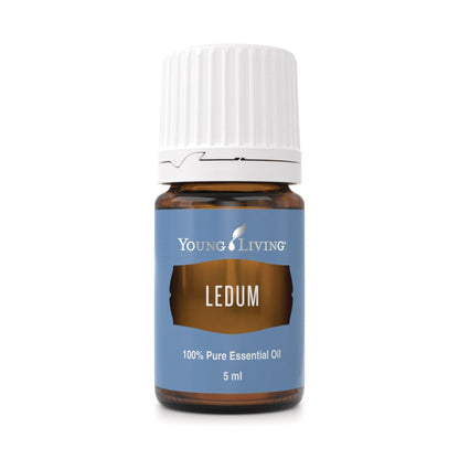 Young Living Ledum Premium Essential Oil 5ml – Meditation & Sacred Diffuser