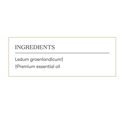 Young Living Ledum Premium Essential Oil 5ml – Meditation & Sacred Diffuser