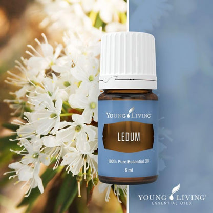 Young Living Ledum Premium Essential Oil 5ml – Meditation & Sacred Diffuser