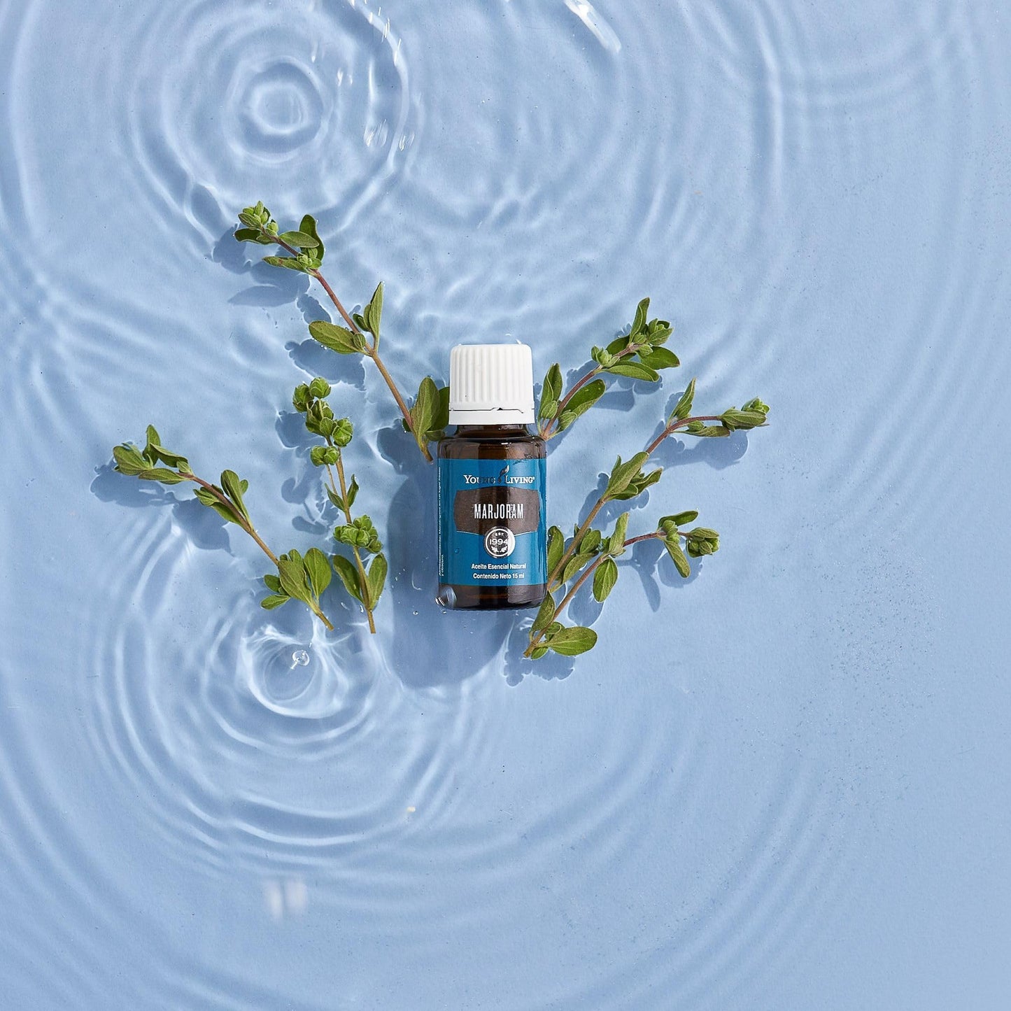 Young Living Marjoram Essential Oil 15ml | Aromatherapy, Massage & Muscle Support