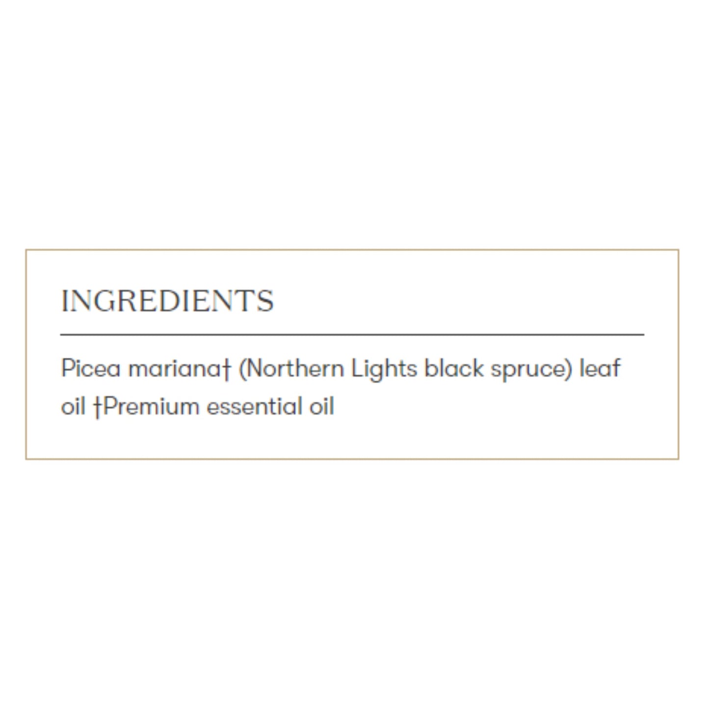 Young Living Northern Black Spruce Essential Oil 5ml – Fresh, Invigorating, Grounding Aroma