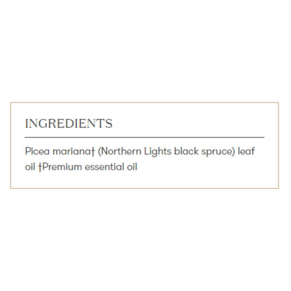Young Living Northern Black Spruce Essential Oil 5ml – Fresh, Invigorating, Grounding Aroma