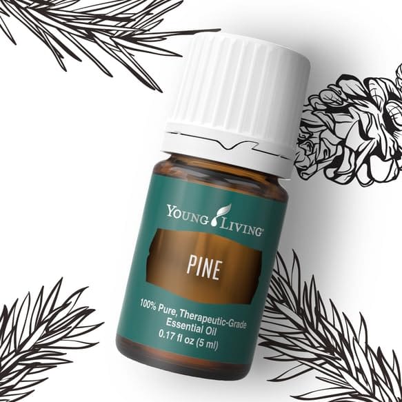 Young Living Pine Essential Oil 5ml – Pure Pine for Diffusers