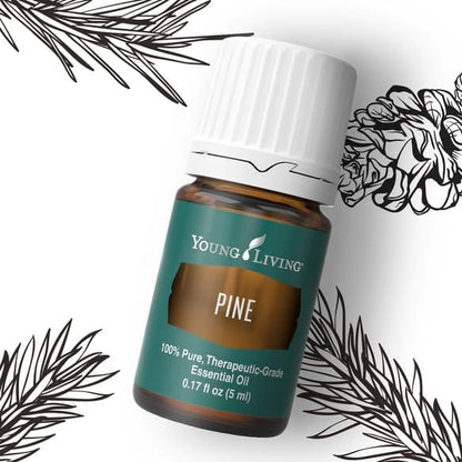 Young Living Pine Essential Oil 5ml – Pure Pine for Diffusers
