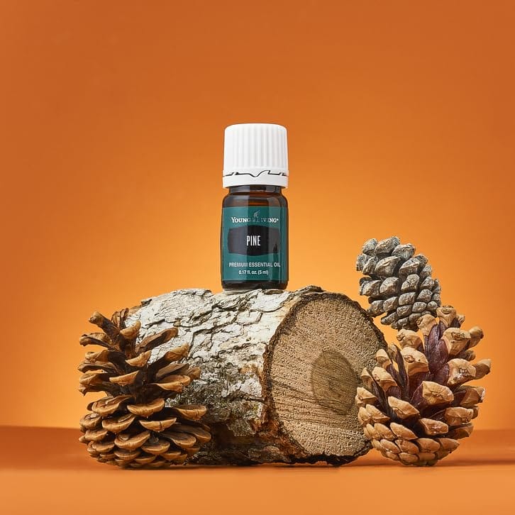 Young Living Pine Essential Oil 5ml – Pure Pine for Diffusers