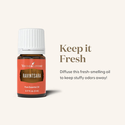Young Living Ravintsara Essential Oil 5ml | Invigorating Aroma for Yoga, Meditation & Healthy-Looking Skin