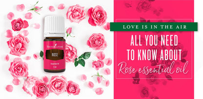Young Living Rose Essential Oil – Pure Floral Aroma & Purity