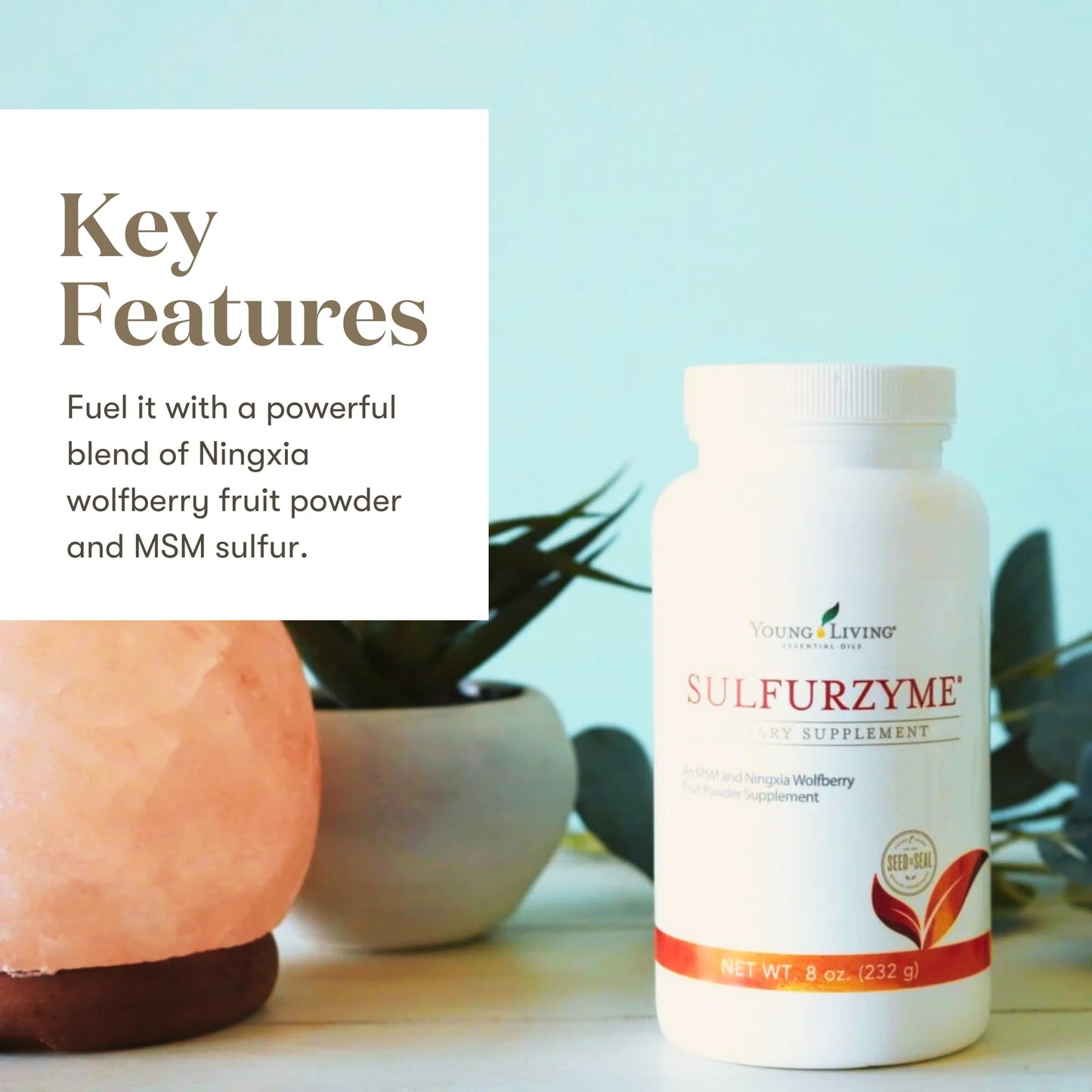 Young Living Sulfurzyme Powder – 8 oz | Joint Health, Energy & Digestion
