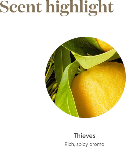 Young Living Thieves Essential Oil Blend 15ml – Pack of 2 – Rosemary & Eucalyptus