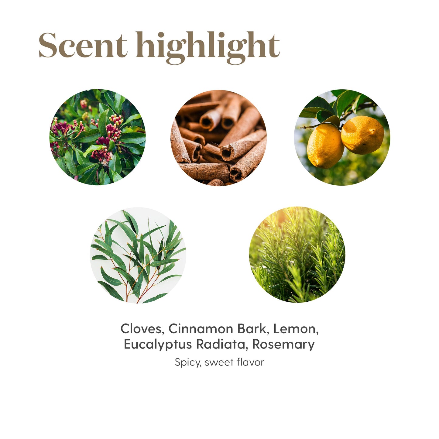 Young Living Thieves Vitality Essential Oil, 5 mL - Dietary