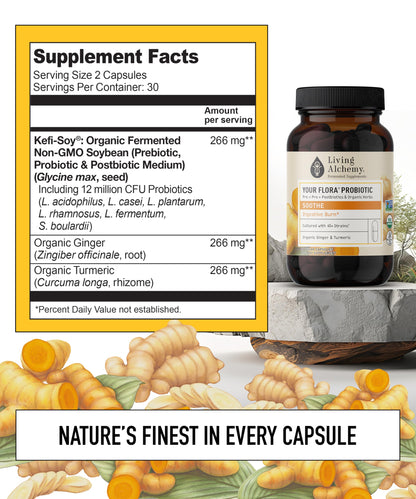 Your Flora Probiotic Soothe – Non-GMO Probiotics with Ginger & Turmeric | Living Alchemy, 60 Pcs