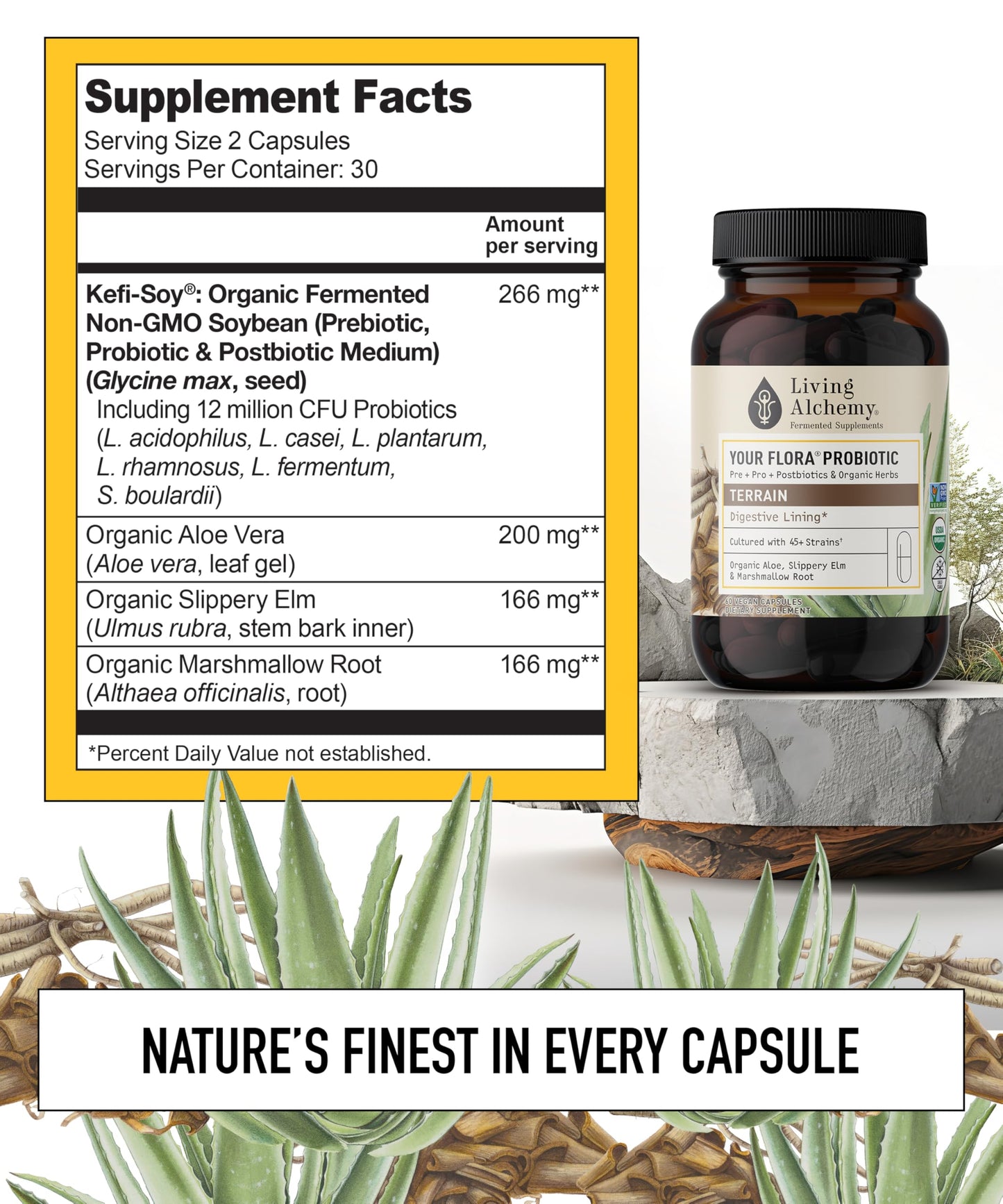 Your Flora Probiotic Terrain – Non-GMO Probiotics with Fermented Soybean, Aloe Vera, & Slippery Elm for Gut Balance & Digestion | Living Alchemy, 60 Pcs