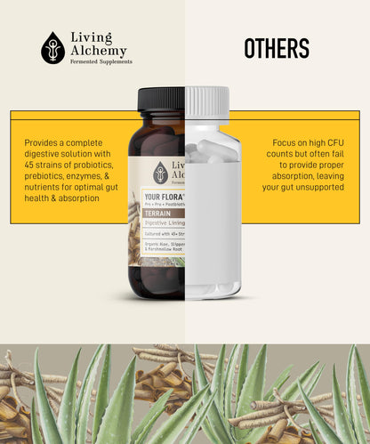 Your Flora Probiotic Terrain – Non-GMO Probiotics with Fermented Soybean, Aloe Vera, & Slippery Elm for Gut Balance & Digestion | Living Alchemy, 60 Pcs