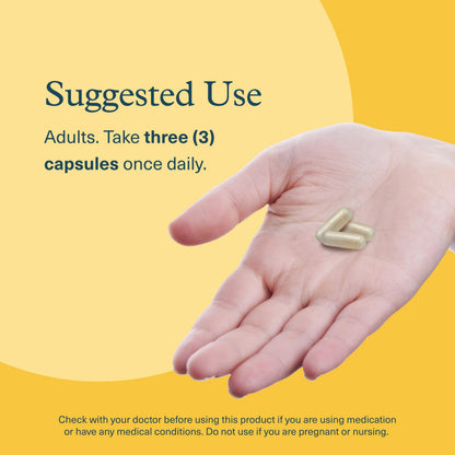 Youtheory Lion's Mane Plus | Cognizin for Focus & Brain Support | 60 Vegetarian Capsules