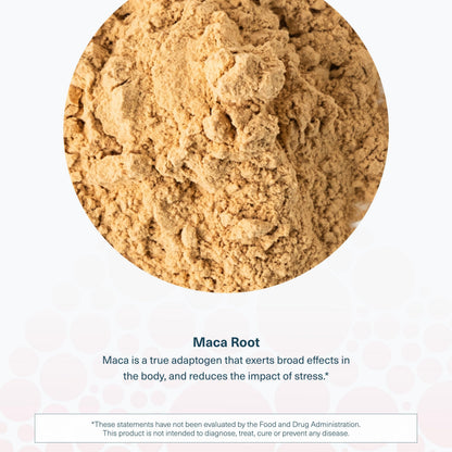 Youtheory Men's Maca - Vegan Maca Supplement for Energy, Stamina & Endurance | 120 Veg Capsules