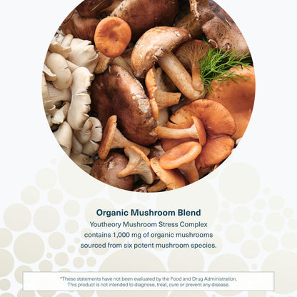 Youtheory Mushroom Immune Complex – Vegan Immune Support (60 Vegetarian Capsules)