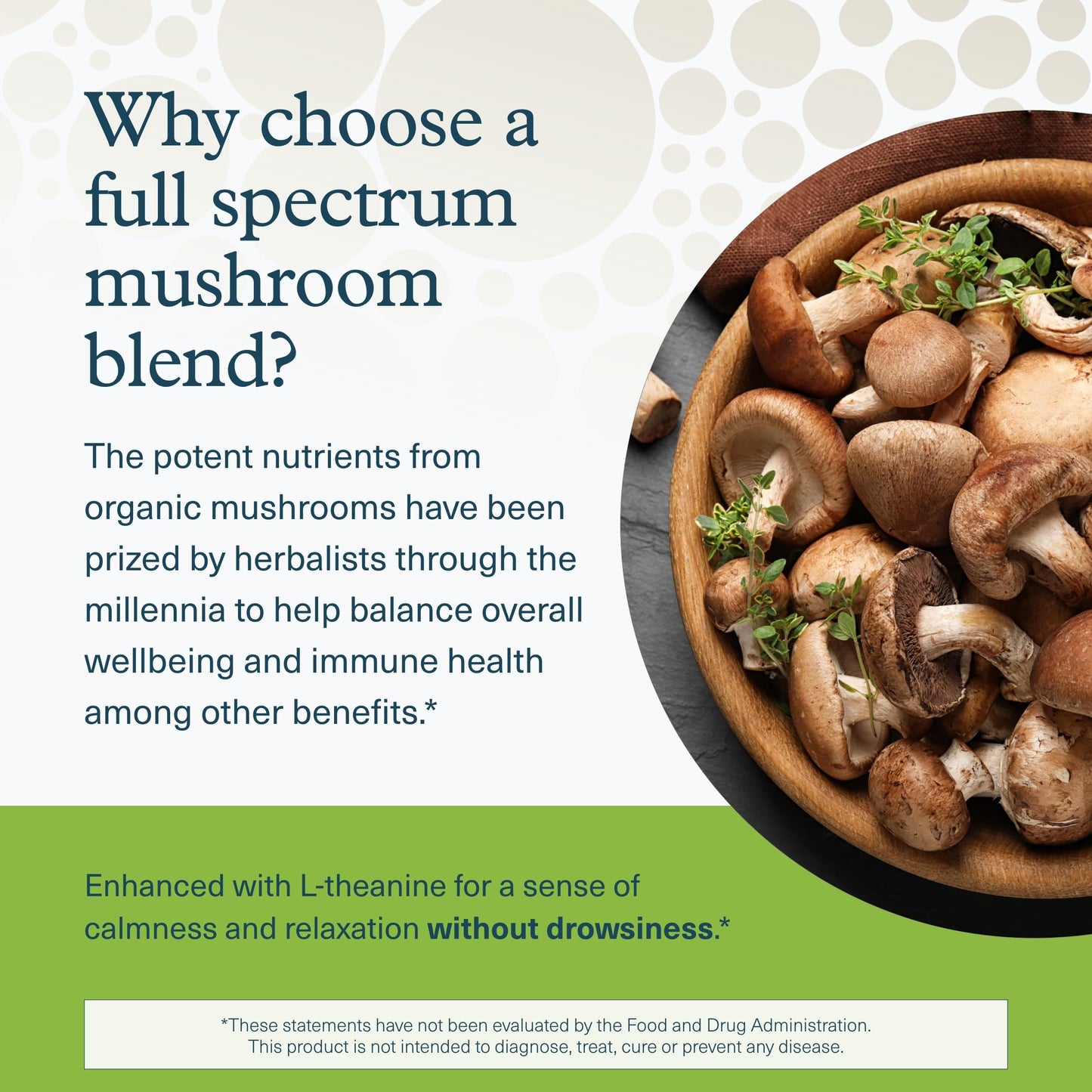 Youtheory Mushroom Immune Complex – Vegan Immune Support (60 Vegetarian Capsules)