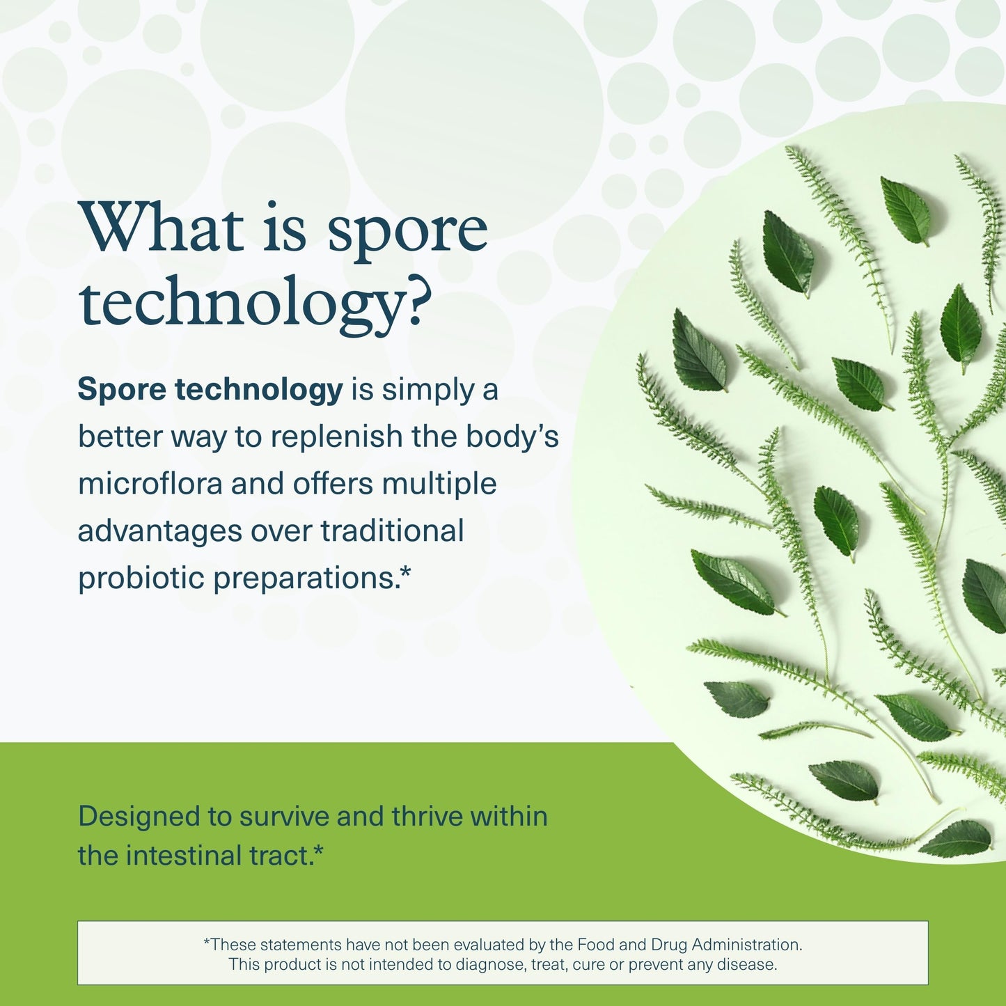 Youtheory Spore Probiotic 6B CFU - Digestive Support - 60 Veggie Caps