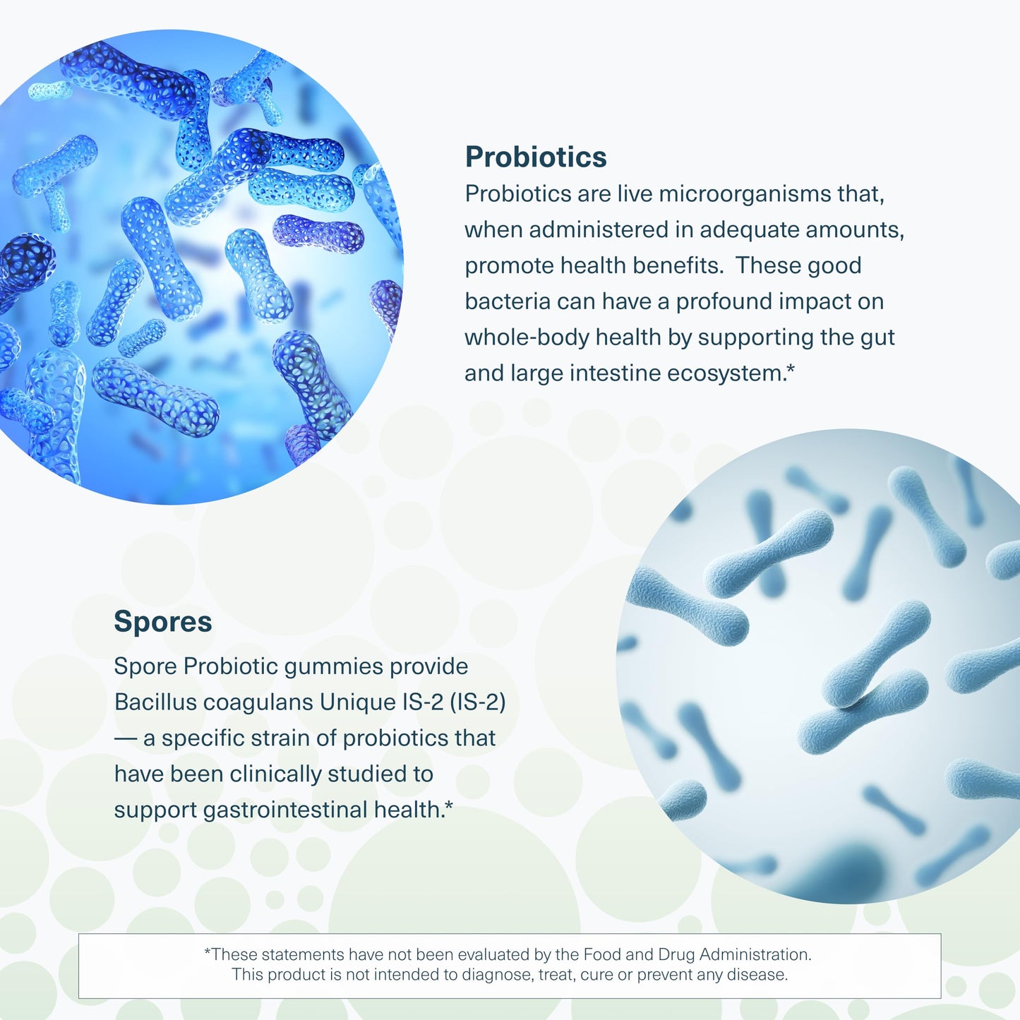 Youtheory Spore Probiotic – Vegan Gut Support, Bacillus Coagulans | 60 Gummies