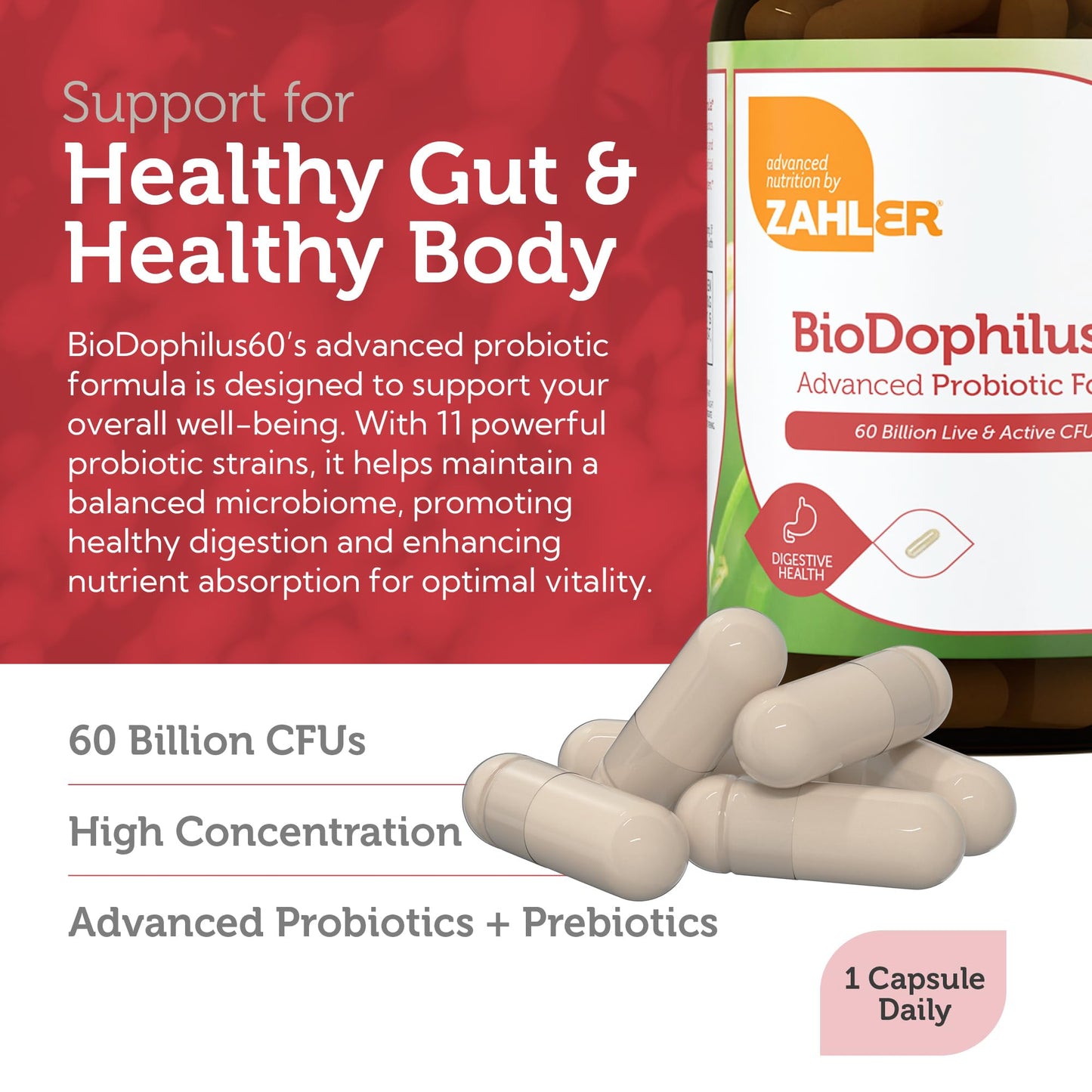 Zahler BioDophilus60 – 60 Billion CFU Probiotic + Prebiotic | 11 Strains | Kosher Digestive Health (60 Capsules)