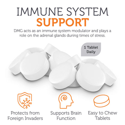 Zahler DMG 500mg Dimethylglycine - Endurance & Immune Support (90 Count)