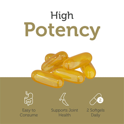 Zahler Omega 3 Platinum +D Burpless Fish Oil Softgels | Highest EPA & DHA, Kosher, 90 Softgels